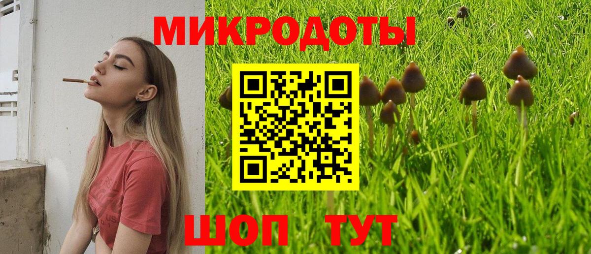 Псилоцибиновые грибы Psilocybe  Псилоцибиновые грибы мухоморы  Кувандык  Вход с VPN 