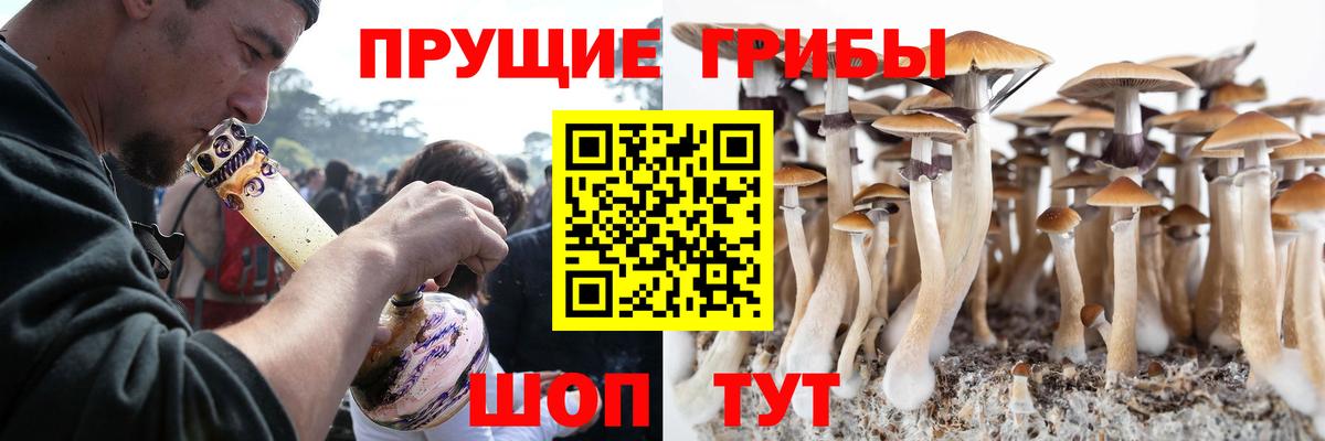 Галлюциногенные грибы GOLDEN TEACHER Кувандык